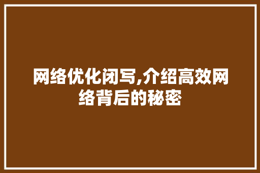 网络优化闭写,介绍高效网络背后的秘密