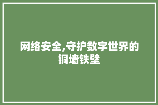 网络安全,守护数字世界的铜墙铁壁 网络安全,守护数字世界的铜墙铁壁 SEO关键词