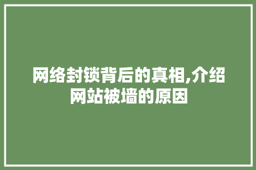网络封锁背后的真相,介绍网站被墙的原因 网络封锁背后的真相,介绍网站被墙的原因 网站建设公司