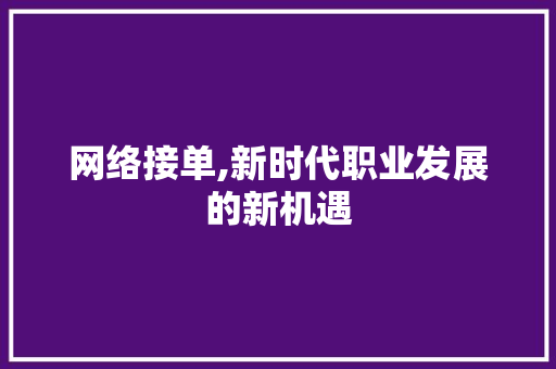 网络接单,新时代职业发展的新机遇 网络接单,新时代职业发展的新机遇 网站建设公司