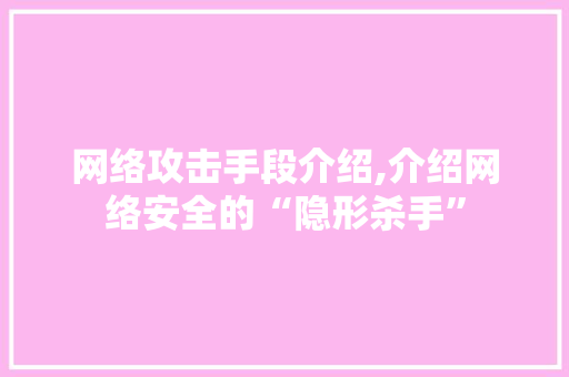 网络攻击手段介绍,介绍网络安全的“隐形杀手” 网络攻击手段介绍,介绍网络安全的“隐形杀手” 神马SEO