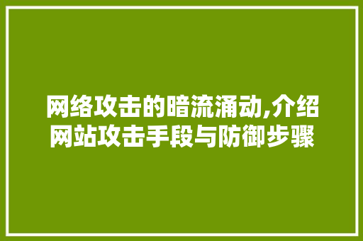 网络攻击的暗流涌动,介绍网站攻击手段与防御步骤 网络攻击的暗流涌动,介绍网站攻击手段与防御步骤 SEO关键词