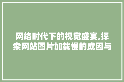 网络时代下的视觉盛宴,探索网站图片加载慢的成因与优化步骤
