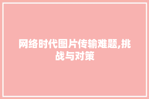 网络时代图片传输难题,挑战与对策