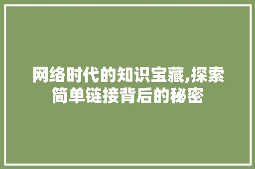 网络时代的知识宝藏,探索简单链接背后的秘密