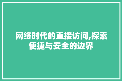 网络时代的直接访问,探索便捷与安全的边界