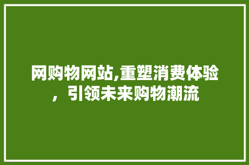 网购物网站,重塑消费体验，引领未来购物潮流