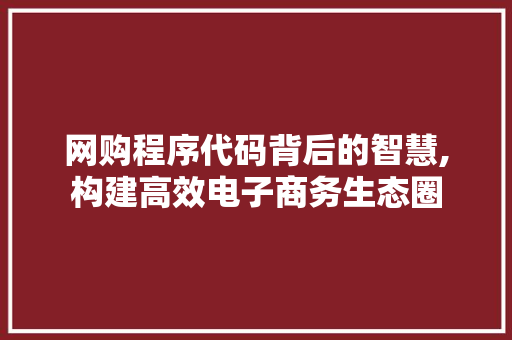 网购程序代码背后的智慧,构建高效电子商务生态圈