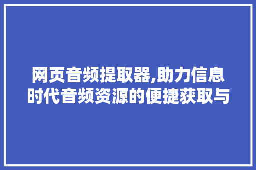 网页音频提取器,助力信息时代音频资源的便捷获取与利用 网页音频提取器,助力信息时代音频资源的便捷获取与利用 网站建设公司
