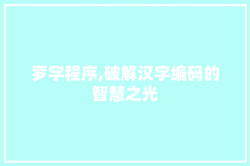 罗字程序,破解汉字编码的智慧之光