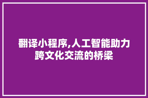 翻译小程序,人工智能助力跨文化交流的桥梁