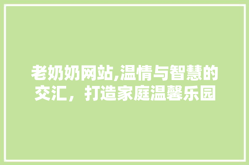 老奶奶网站,温情与智慧的交汇，打造家庭温馨乐园 老奶奶网站,温情与智慧的交汇，打造家庭温馨乐园 必应SEO