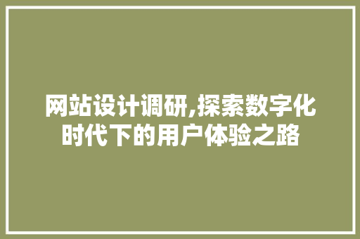 网站设计调研,探索数字化时代下的用户体验之路