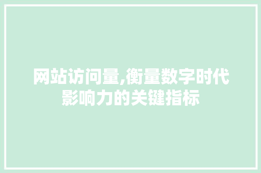 网站访问量,衡量数字时代影响力的关键指标 网站访问量,衡量数字时代影响力的关键指标 网站建设公司