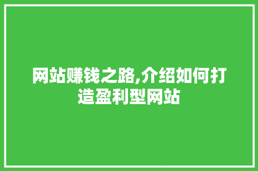 网站赚钱之路,介绍如何打造盈利型网站 网站赚钱之路,介绍如何打造盈利型网站 百度SEO