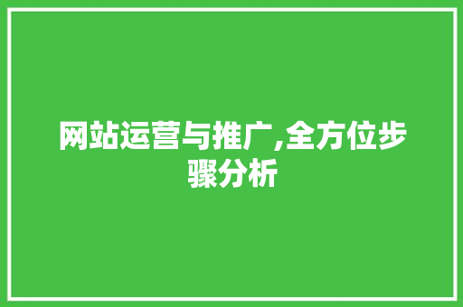 网站运营与推广,全方位步骤分析