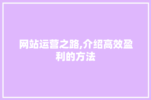 网站运营之路,介绍高效盈利的方法