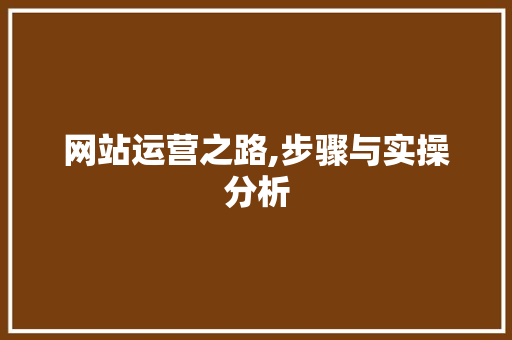 网站运营之路,步骤与实操分析 网站运营之路,步骤与实操分析 百度SEO