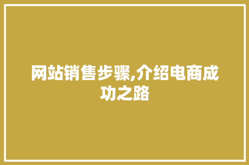 网站销售步骤,介绍电商成功之路 网站销售步骤,介绍电商成功之路 SEO关键词