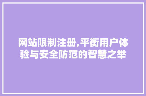 网站限制注册,平衡用户体验与安全防范的智慧之举