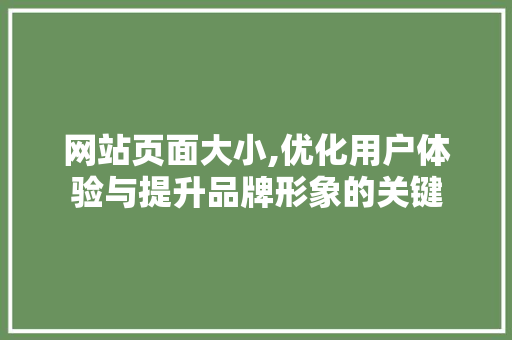 网站页面大小,优化用户体验与提升品牌形象的关键 网站页面大小,优化用户体验与提升品牌形象的关键 搜狗SEO