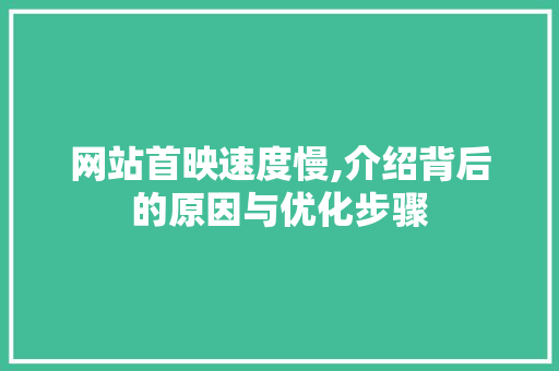 网站首映速度慢,介绍背后的原因与优化步骤 网站首映速度慢,介绍背后的原因与优化步骤 网站建设公司