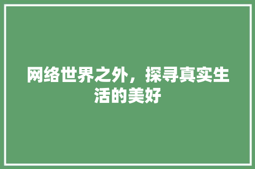 网络世界之外，探寻真实生活的美好 网络世界之外，探寻真实生活的美好 神马SEO