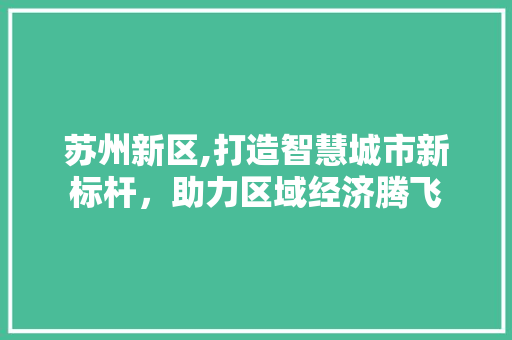 苏州新区,打造智慧城市新标杆，助力区域经济腾飞