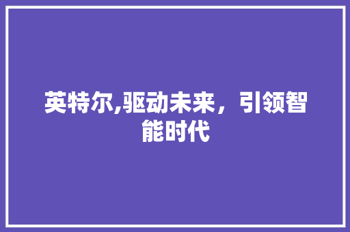 英特尔,驱动未来，引领智能时代 英特尔,驱动未来，引领智能时代 神马SEO