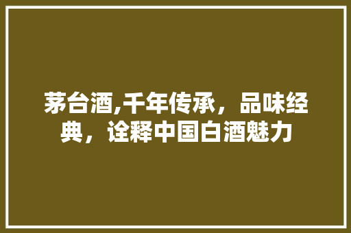 茅台酒,千年传承，品味经典，诠释中国白酒魅力 茅台酒,千年传承，品味经典，诠释中国白酒魅力 网站建设公司