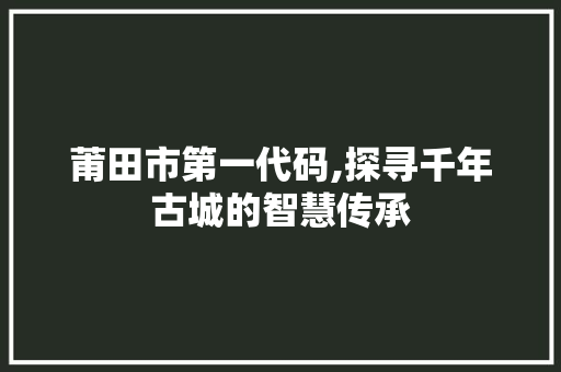 莆田市第一代码,探寻千年古城的智慧传承 莆田市第一代码,探寻千年古城的智慧传承 必应SEO