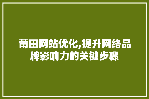 莆田网站优化,提升网络品牌影响力的关键步骤