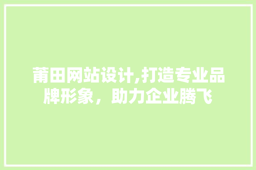 莆田网站设计,打造专业品牌形象，助力企业腾飞