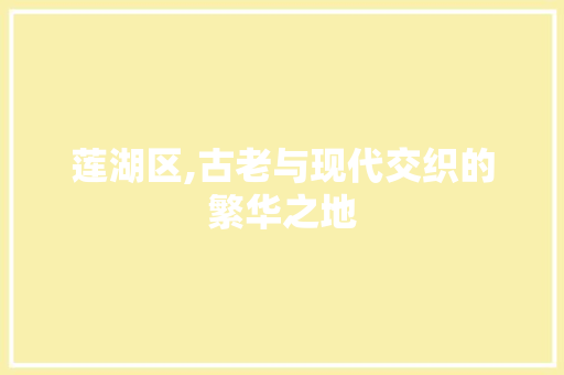莲湖区,古老与现代交织的繁华之地