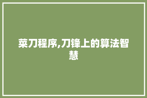 菜刀程序,刀锋上的算法智慧