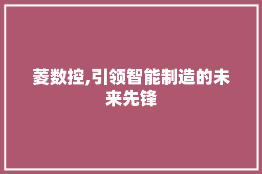 菱数控,引领智能制造的未来先锋