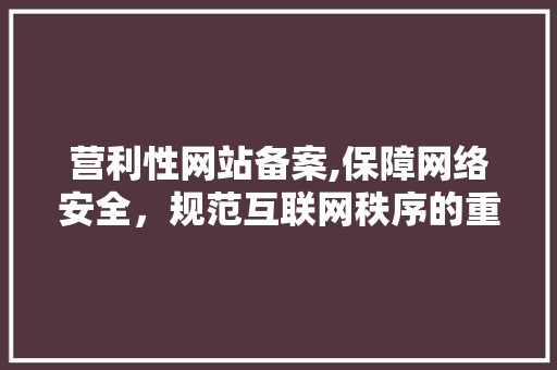 营利性网站备案,保障网络安全，规范互联网秩序的重要举措