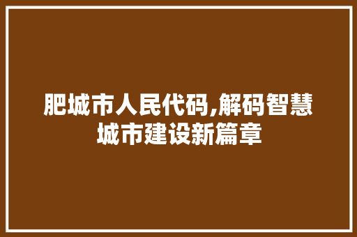 肥城市人民代码,解码智慧城市建设新篇章