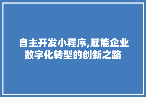 自主开发小程序,赋能企业数字化转型的创新之路