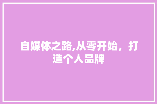 自媒体之路,从零开始，打造个人品牌