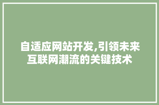 自适应网站开发,引领未来互联网潮流的关键技术