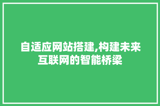 自适应网站搭建,构建未来互联网的智能桥梁