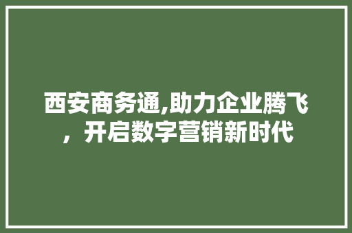 西安商务通,助力企业腾飞，开启数字营销新时代