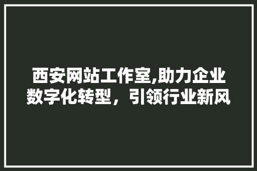 西安网站工作室,助力企业数字化转型，引领行业新风向 西安网站工作室,助力企业数字化转型，引领行业新风向 神马SEO
