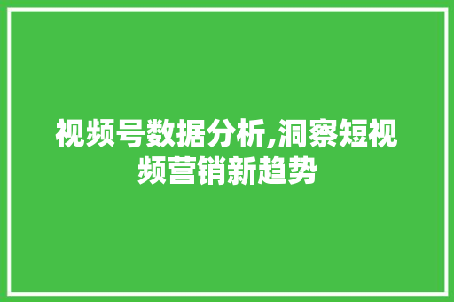 视频号数据分析,洞察短视频营销新趋势