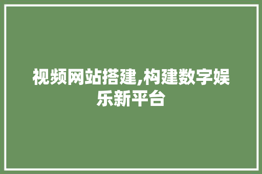 视频网站搭建,构建数字娱乐新平台