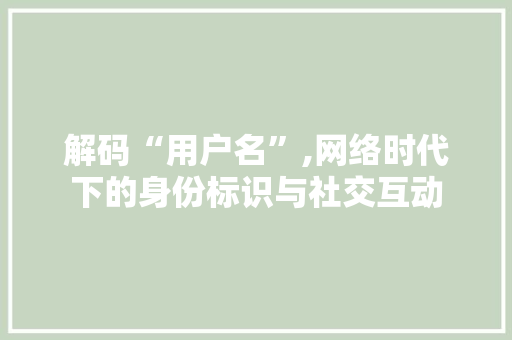 解码“用户名”,网络时代下的身份标识与社交互动