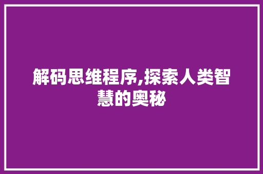 解码思维程序,探索人类智慧的奥秘 解码思维程序,探索人类智慧的奥秘 必应SEO
