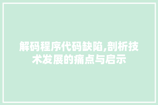 解码程序代码缺陷,剖析技术发展的痛点与启示