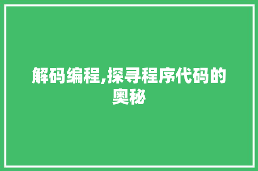 解码编程,探寻程序代码的奥秘